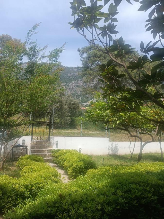 Summer Otel Muğla Zewnętrze zdjęcie